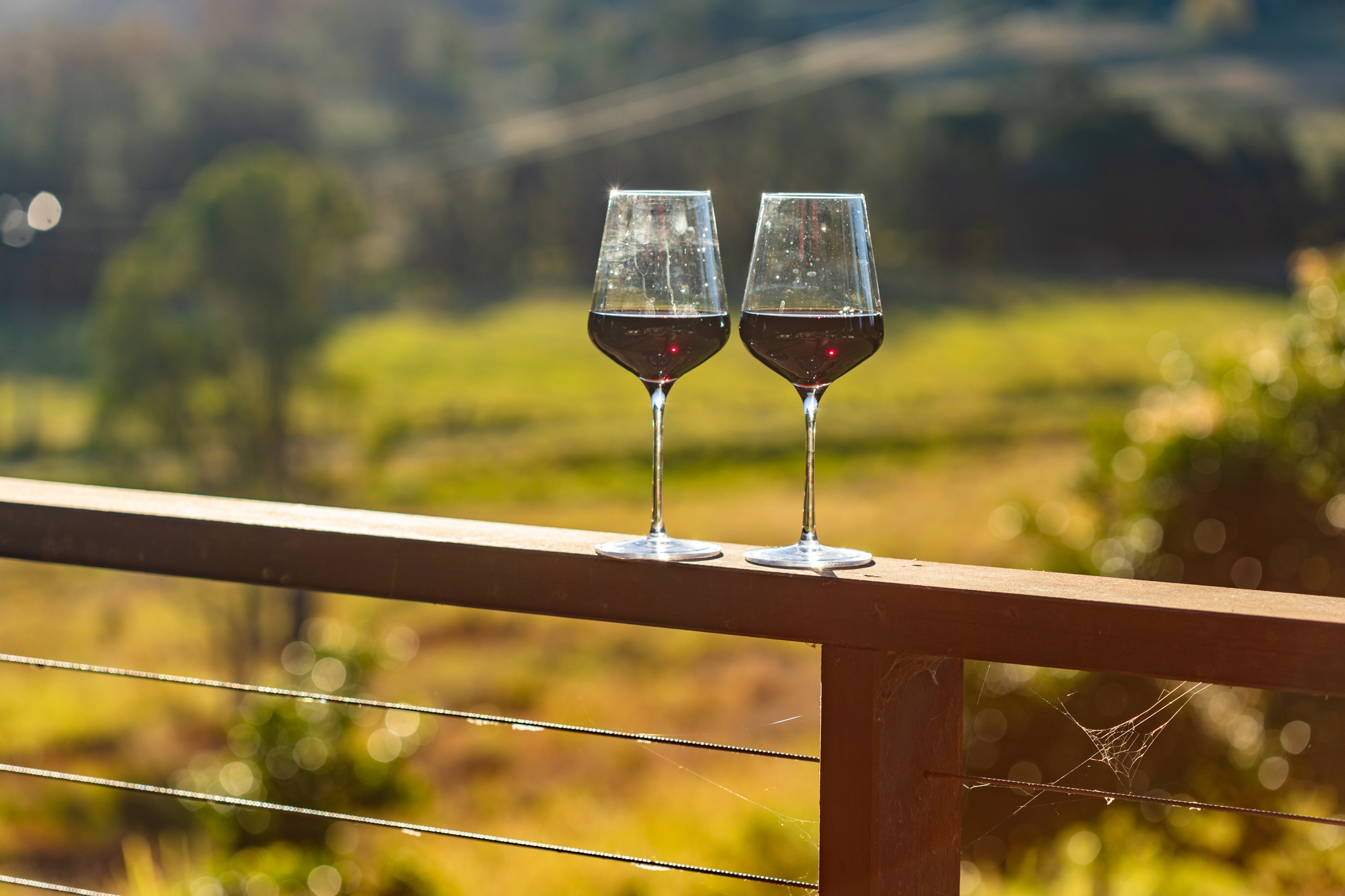 Red wine glass on a patio railing at a farm