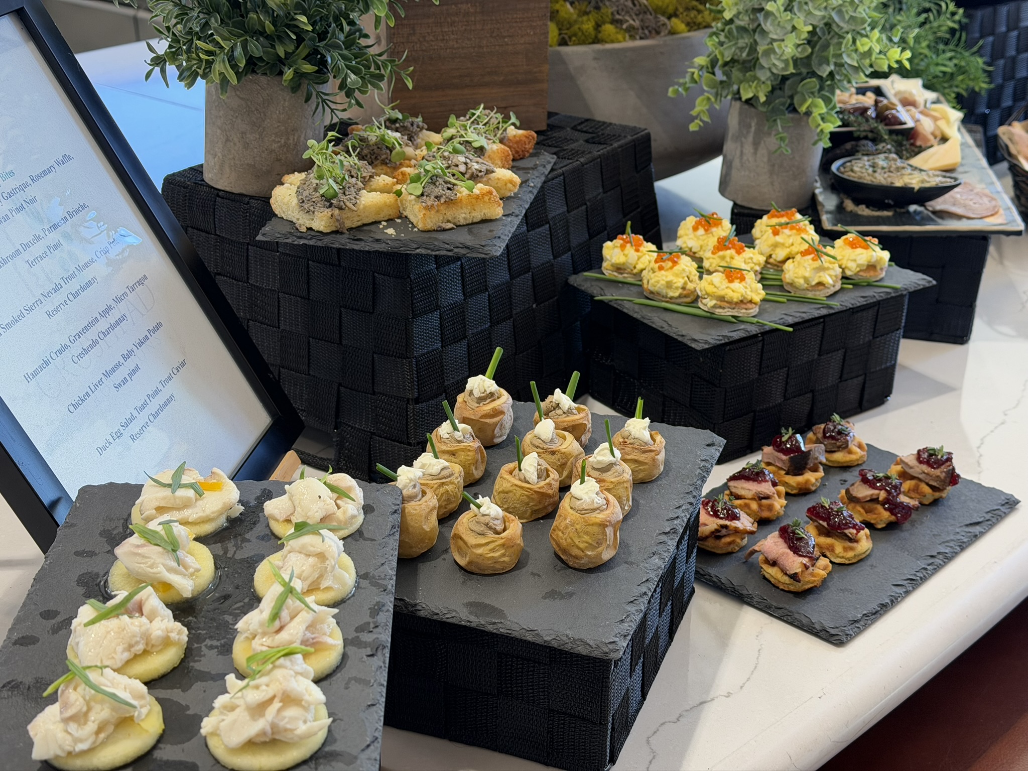 Tasting for Buchaine Vineyards​