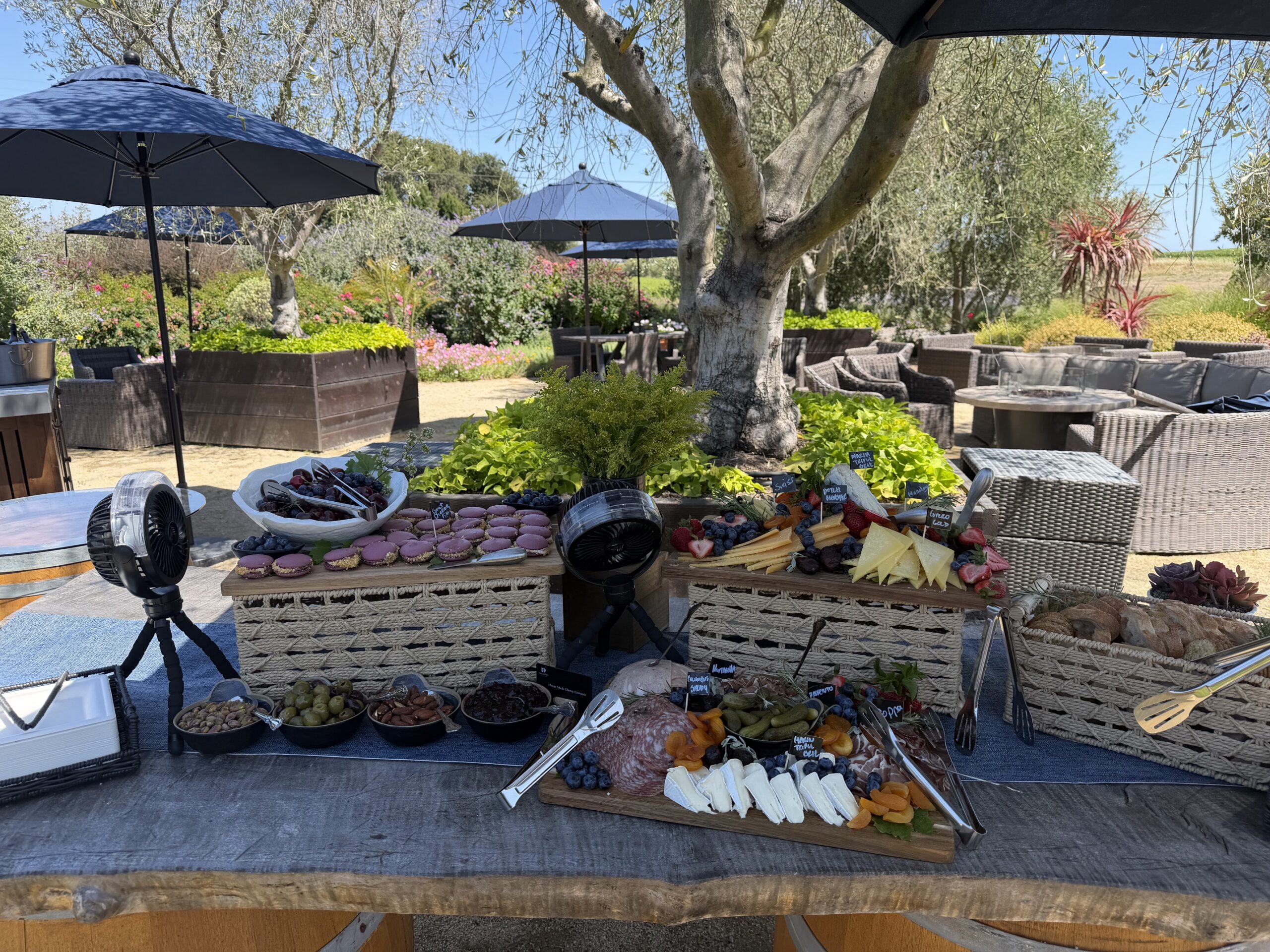 Catering charcuterie